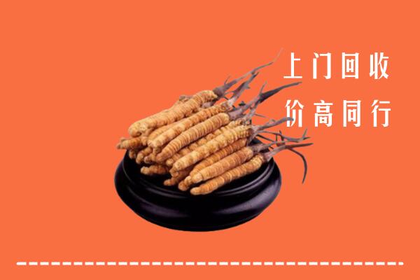 高价求购：马尔康市回收散虫草