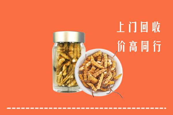 马尔康市回收冬虫夏草