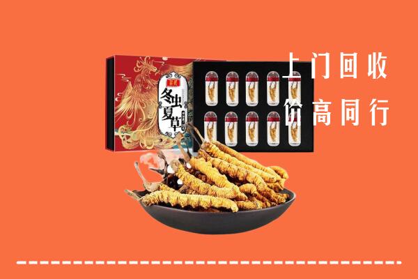 马尔康市回收虫草